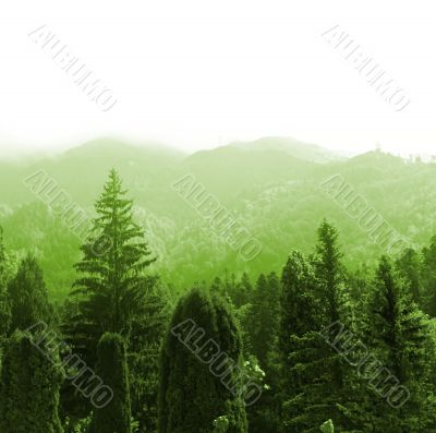 Green forest