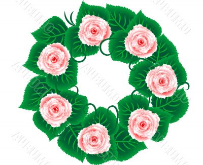 Wreath of roses Wreath of roses