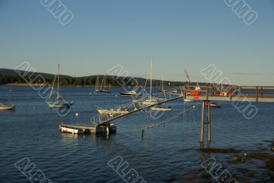 Boats at anchor,	in harbor