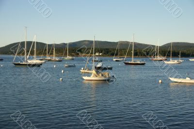 Boats at anchor,	in harbor