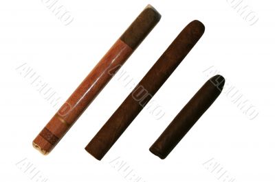 Three cigar Three cigar