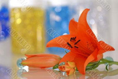 orange lily with a remedy for aroma therapy