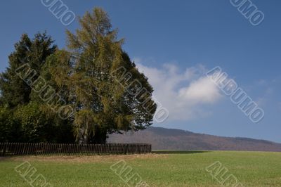 Rural autumnal landscape