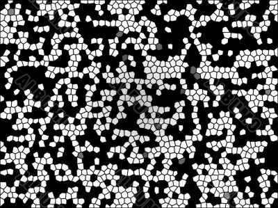 black and white honeycomnb