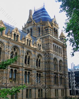 Museum Museum