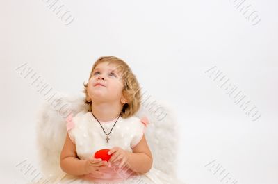 little angel girl