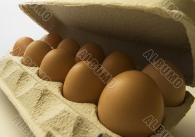 Brown eggs