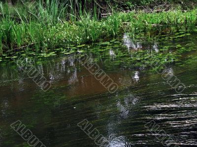 calm river