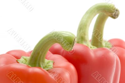 Red cayenne macro