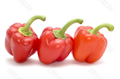 Red cayenne on white