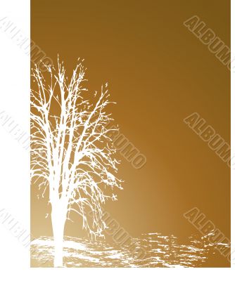 Brown background Brown background