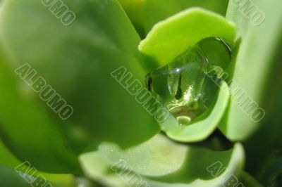 Drop of water Drop of water
