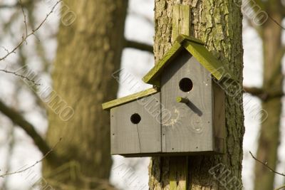 double birdhouse