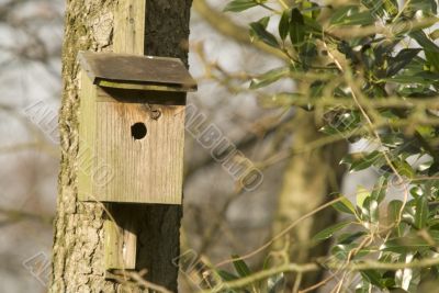 old bird house