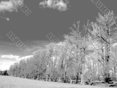 infra red effect