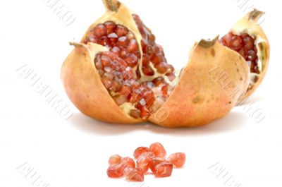 pomegranate