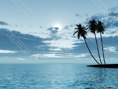 palm trees in a moonlight