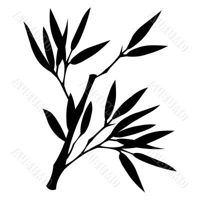 Bamboo silhouette Bamboo silhouette