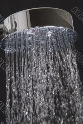 Shower Shower