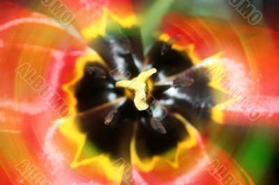 abstract varicoloured background