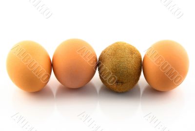 Kiwi, pretending to be an egg Kiwi, pretending to be an egg