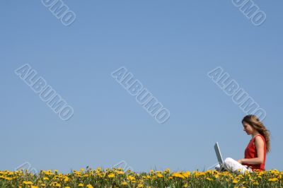 Girl working with laptop in a flowering field Girl working with laptop in a flowering field