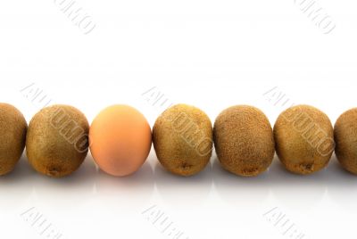 One egg in a row of kiwis One egg in a row of kiwis