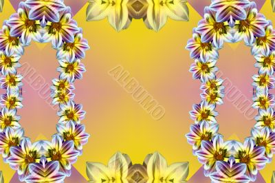 Flowers Flowers