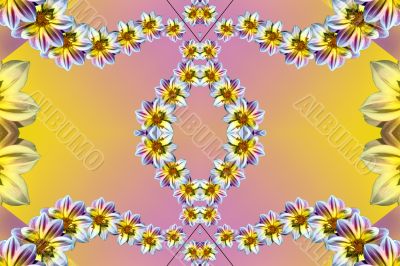 Flowers Flowers