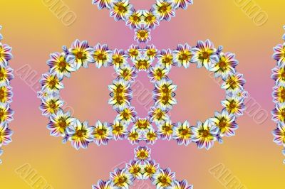 Flowers Flowers