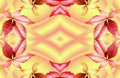 Flowers Flowers