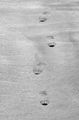 Footprint