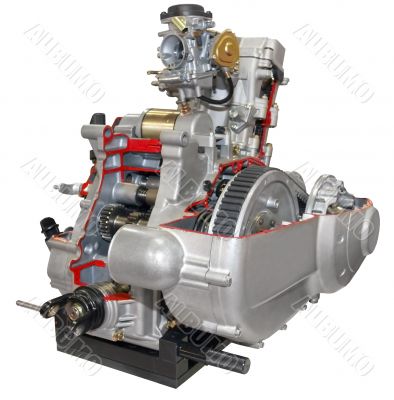 Motorcycle engine