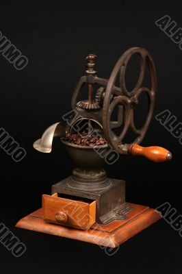 Grinder with coffee grains Grinder with coffee grains
