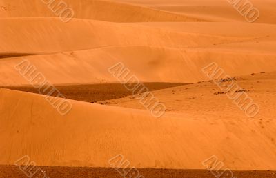 sand dunes at sunset
