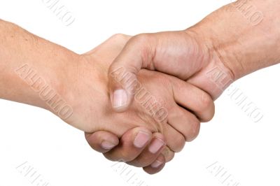 Handshake