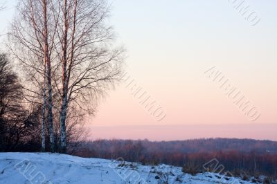 The winter landscape