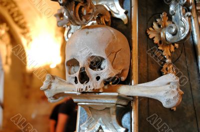 human sculls, bones and skeletons