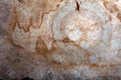 Sheet of an old paper