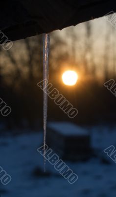The icicle