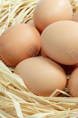 Fresh Brown Eggs