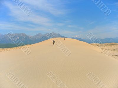 Taiga desert landscape 01
