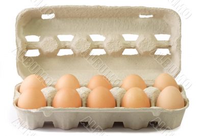 Brown Eggs in a Cardboard