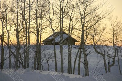 Winter sunset: house and bare aspens