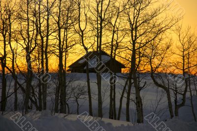 Winter sunset: house and bare aspens Winter sunset: house and bare aspens