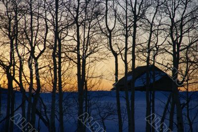 Winter sunset: house and bare aspens