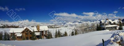 Panorama: rolling hills in winter Panorama: rolling hills in winter