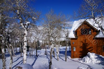 Winter snow: rolling hills