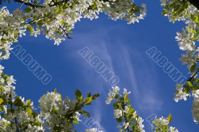 Framed sky