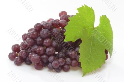 Red Grapes